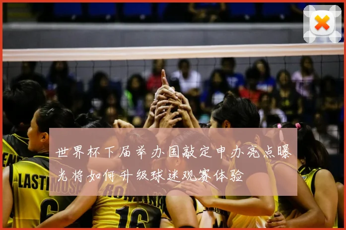 世界杯下届举办国敲定申办亮点曝光将如何升级球迷观赛体验