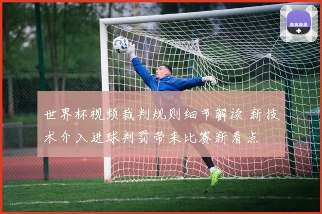 世界杯视频裁判规则细节解读 新技术介入进球判罚带来比赛新看点