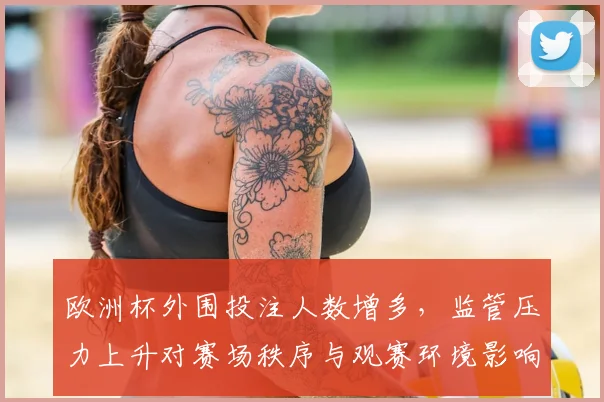 欧洲杯外围投注人数增多,监管压力上升对赛场秩序与观赛环境影响