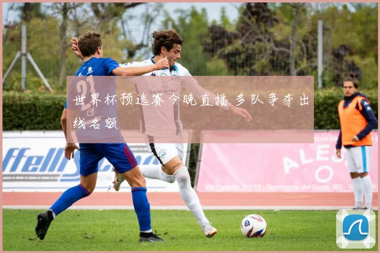 世界杯预选赛今晚直播 多队争夺出线名额