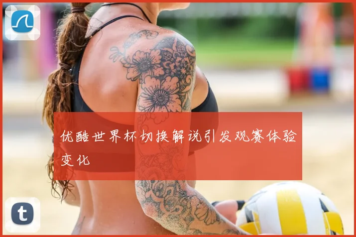 优酷世界杯切换解说引发观赛体验变化