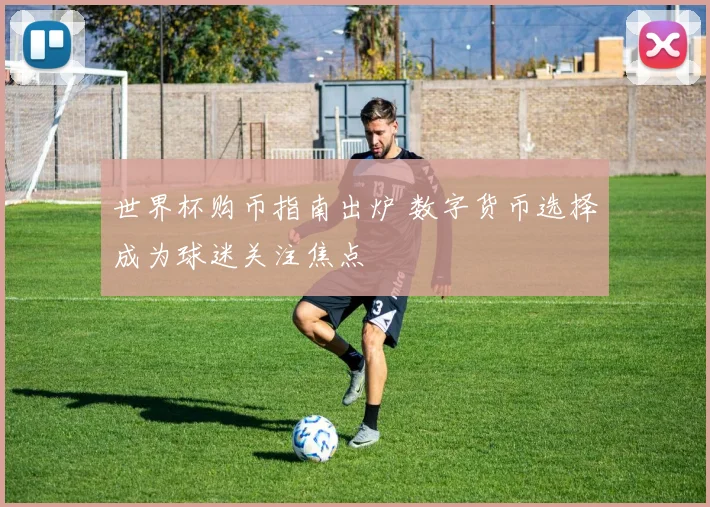 世界杯购币指南出炉 数字货币选择成为球迷关注焦点