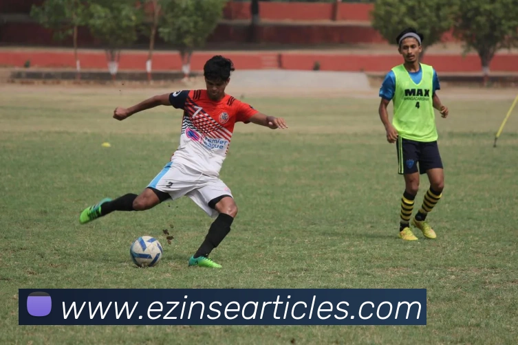 开云app在线下载入口平台生态图